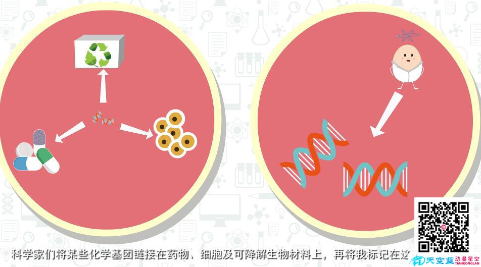 《分子影像》MG動畫科普視頻制作a.jpg