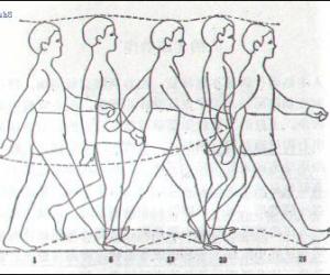 Flash動畫技巧:人側(cè)面走路動畫制作