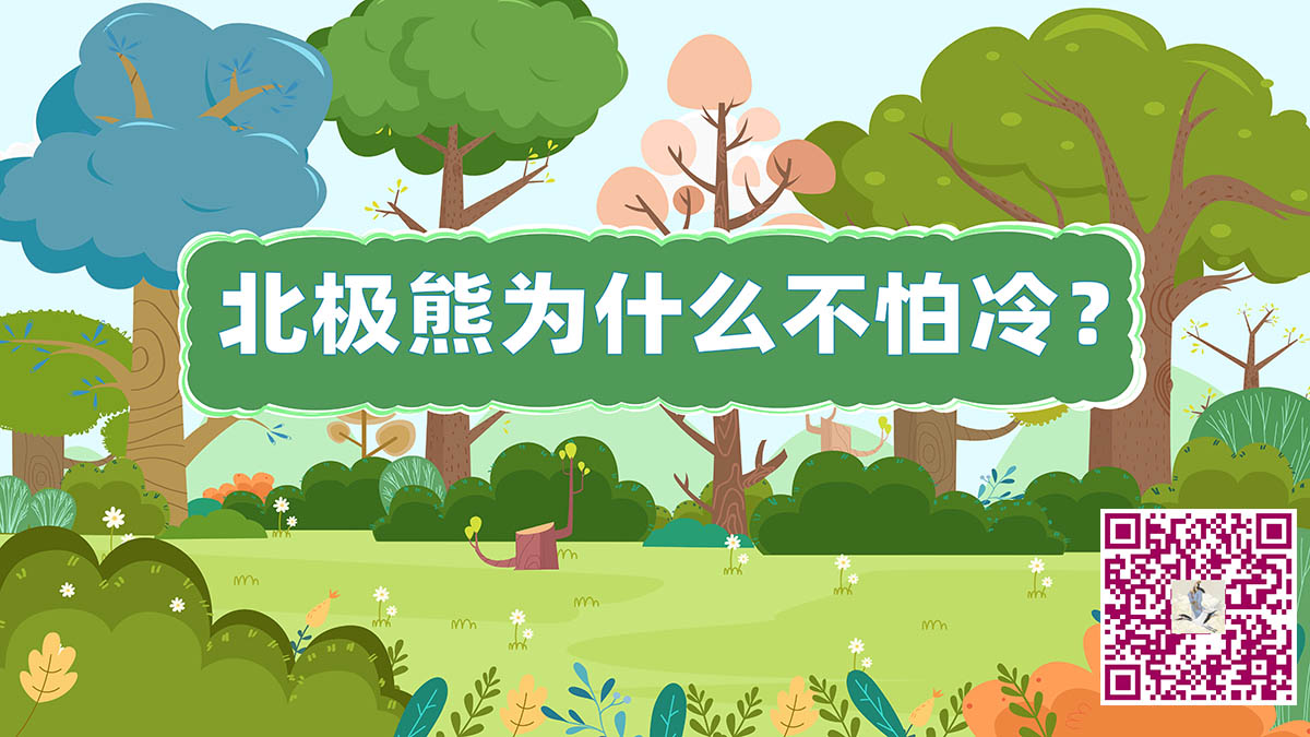 北極熊為什么不怕冷二維碼.jpg 北極熊為什么不怕冷二維碼.jpg