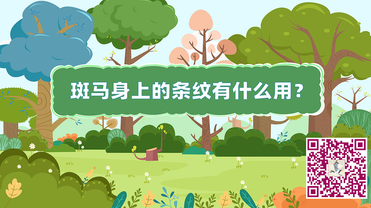 斑馬條紋二維碼.jpg 斑馬條紋二維碼.jpg