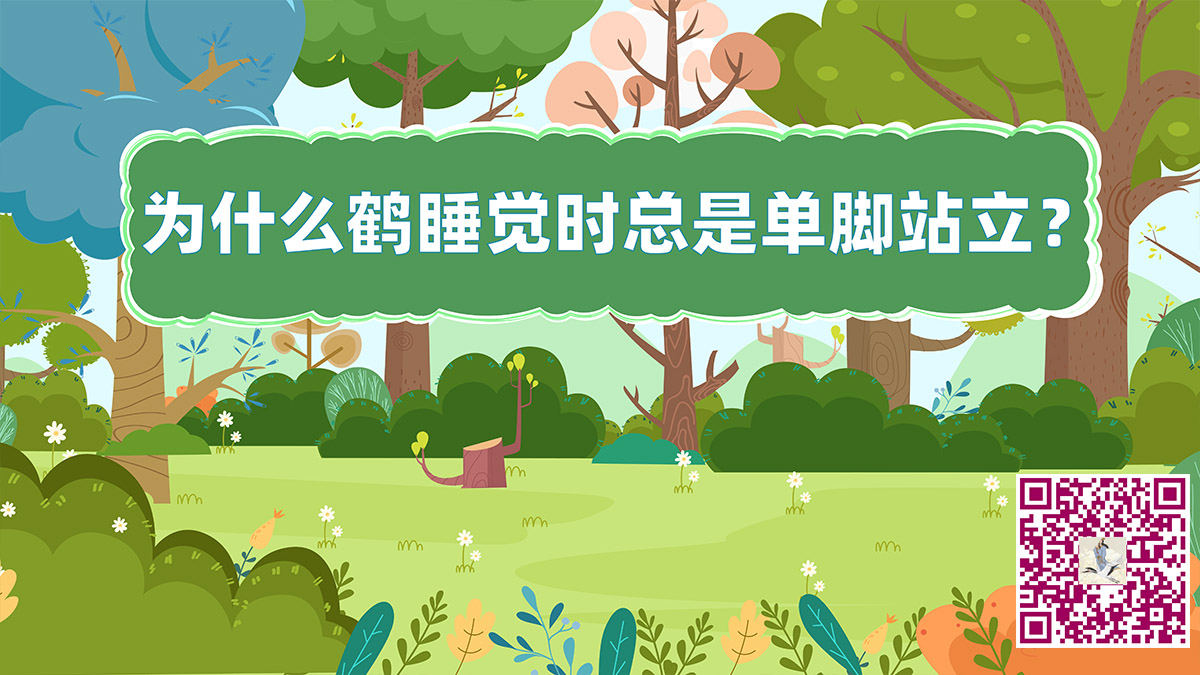 鶴單腳站立二維碼jpg.jpg 鶴單腳站立二維碼jpg.jpg