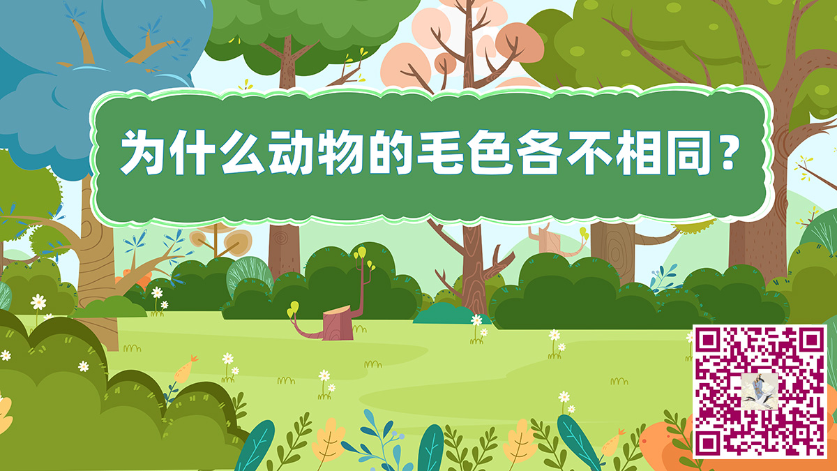 動(dòng)物毛色二維碼.jpg 動(dòng)物毛色二維碼.jpg