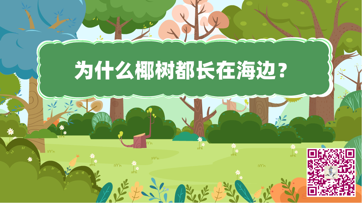 十萬(wàn)個(gè)為什么海邊椰樹.png 十萬(wàn)個(gè)為什么海邊椰樹.png