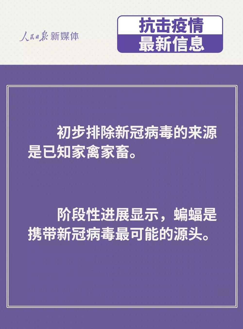 防控新型冠狀病毒：雞鴨會傳播病毒？疫苗研究得怎樣？.jpg