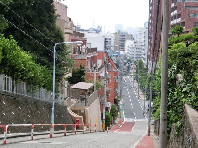 黃鶴樓動漫 黃鶴樓動漫