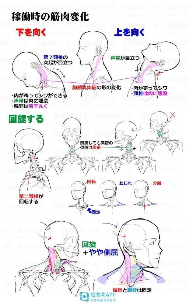 黃鶴樓動(dòng)漫 黃鶴樓動(dòng)漫
