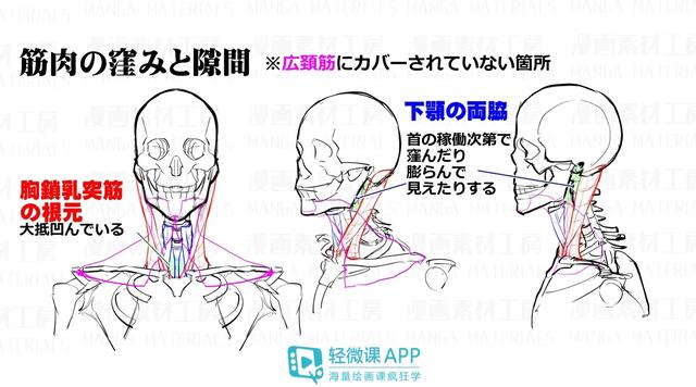 黃鶴樓動(dòng)漫 黃鶴樓動(dòng)漫