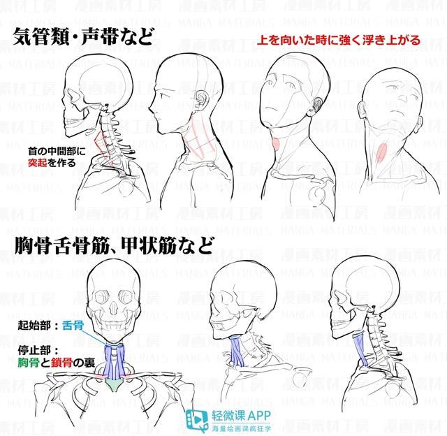 黃鶴樓動(dòng)漫 黃鶴樓動(dòng)漫