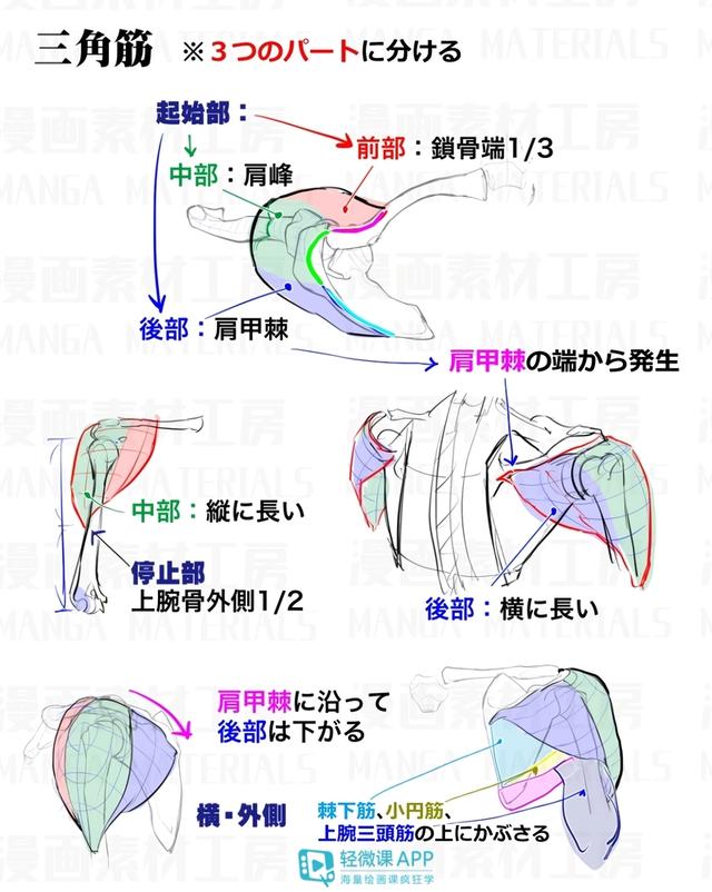 黃鶴樓動漫 黃鶴樓動漫