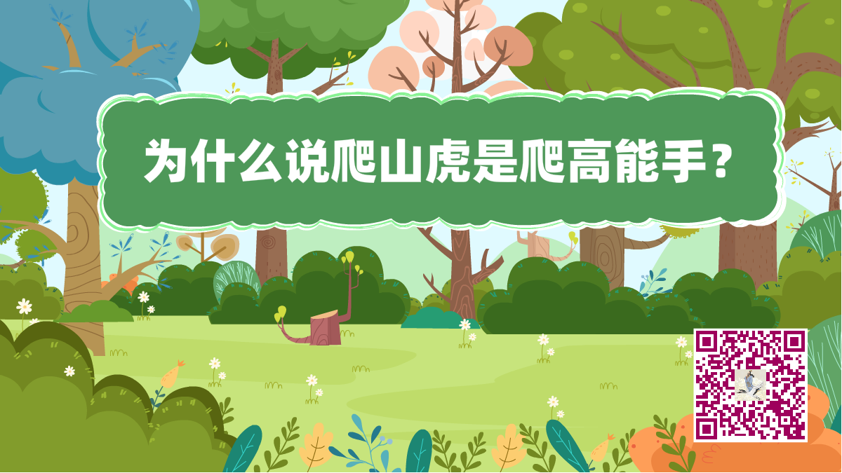 十萬(wàn)個(gè)為什么標(biāo)題(爬山虎爬高)1200.png 十萬(wàn)個(gè)為什么標(biāo)題(爬山虎爬高)1200.png