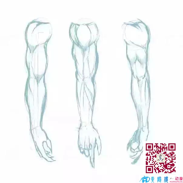 黃鶴樓動漫 黃鶴樓動漫