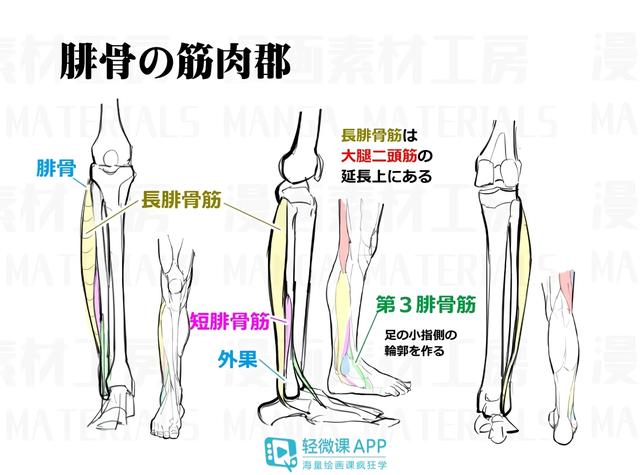 黃鶴樓動(dòng)漫 黃鶴樓動(dòng)漫