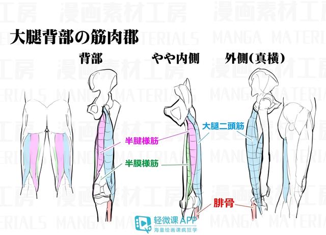 黃鶴樓動(dòng)漫 黃鶴樓動(dòng)漫