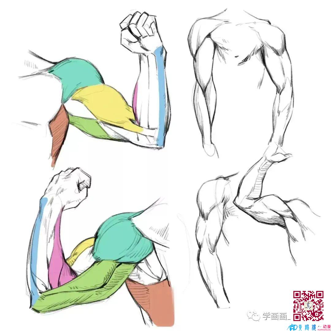 黃鶴樓動漫 黃鶴樓動漫
