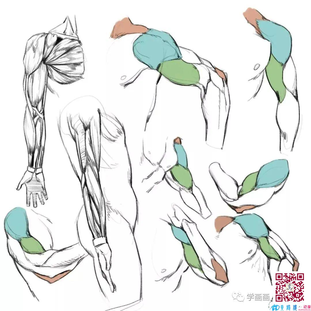 黃鶴樓動漫 黃鶴樓動漫