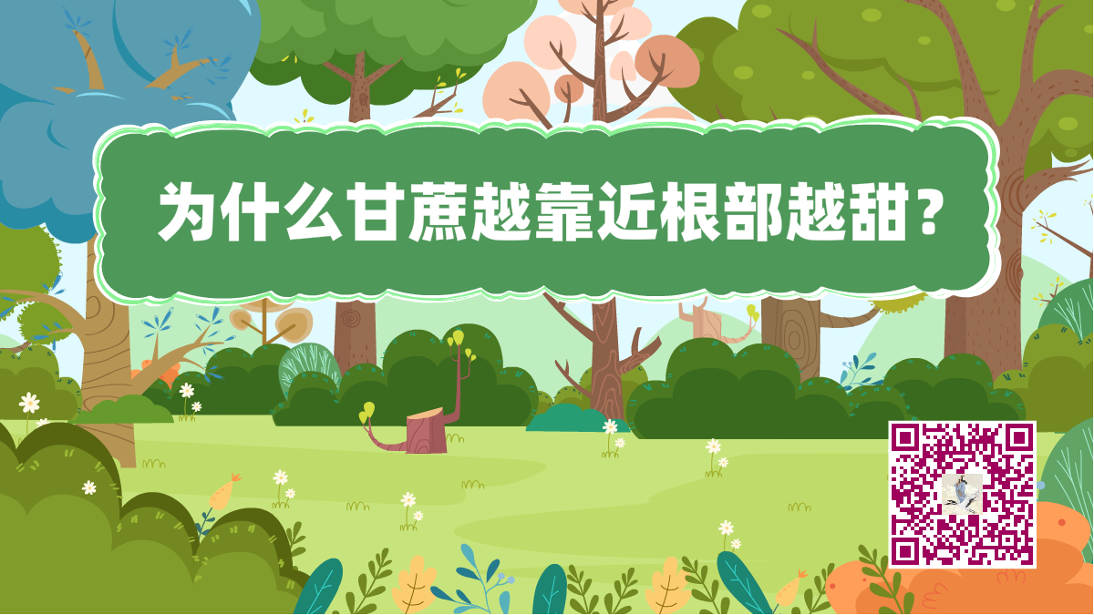 十萬(wàn)個(gè)為什么標(biāo)題(甘蔗根部)1200.png 十萬(wàn)個(gè)為什么標(biāo)題(甘蔗根部)1200.png