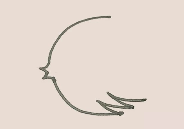 下面的弧線，再畫上幾段弧線作為裝飾。.png