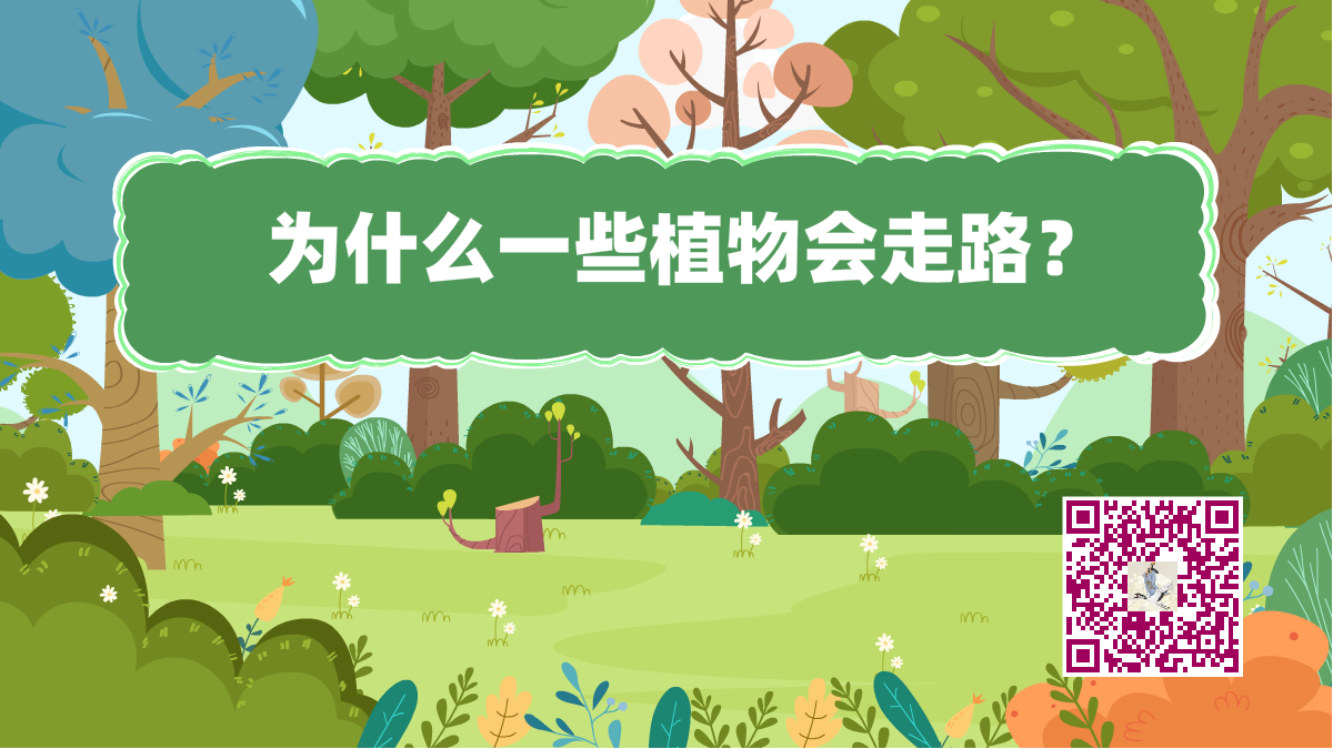 十萬個為什么標(biāo)題(植物走路)1200.png 十萬個為什么標(biāo)題(植物走路)1200.png