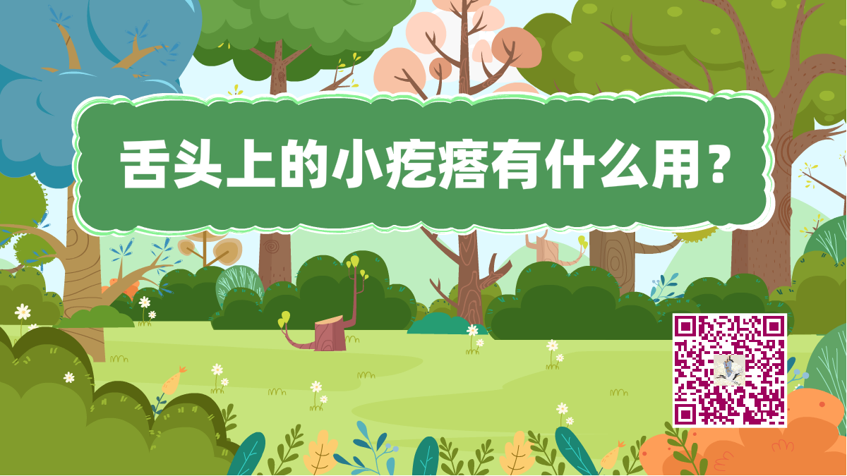 十萬(wàn)個(gè)為什么標(biāo)題(舌頭小疙瘩)1200.png 十萬(wàn)個(gè)為什么標(biāo)題(舌頭小疙瘩)1200.png
