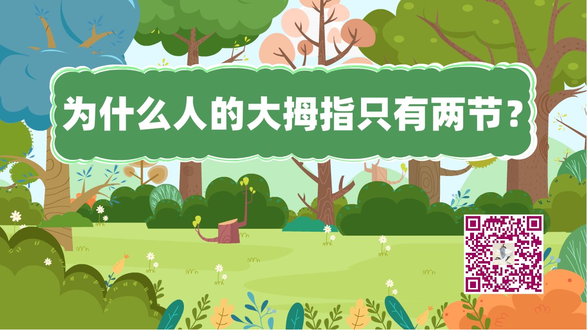 十萬個(gè)為什么標(biāo)題(大拇指兩節(jié))1200.png 十萬個(gè)為什么標(biāo)題(大拇指兩節(jié))1200.png