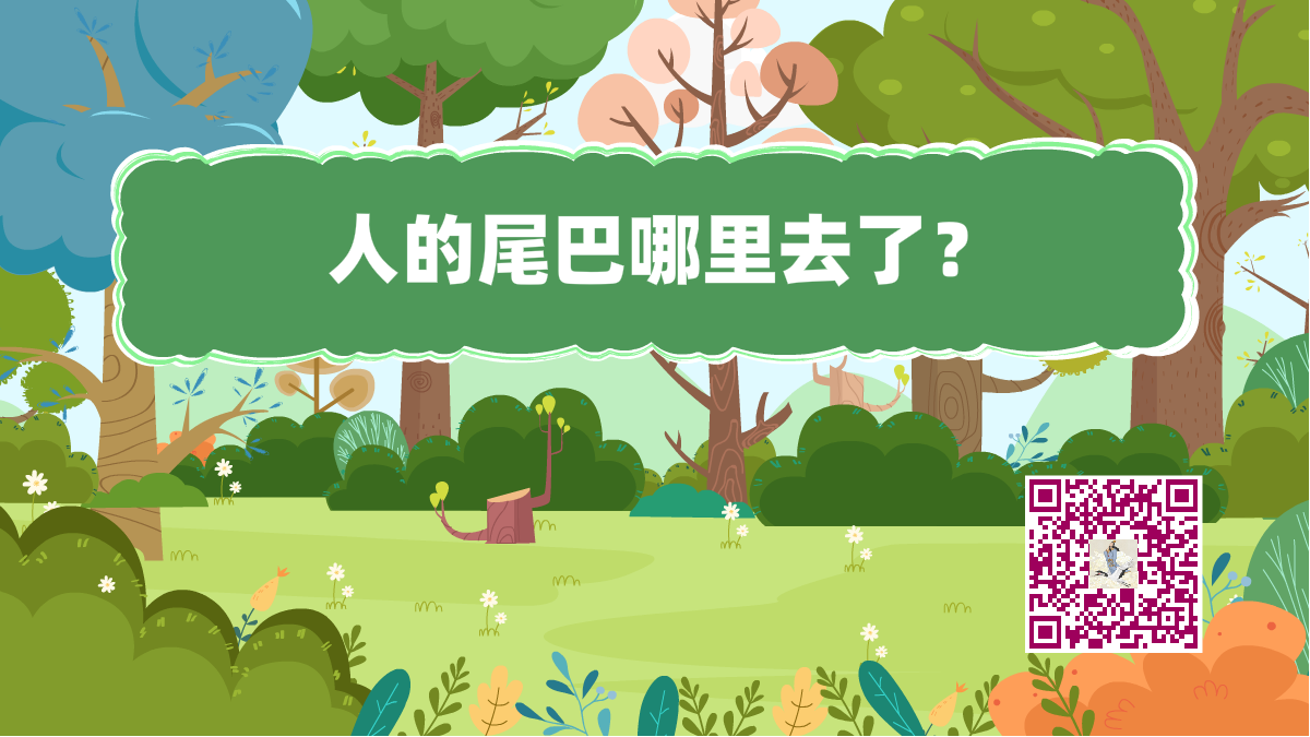 十萬個(gè)為什么標(biāo)題(人的尾巴)1200.png 十萬個(gè)為什么標(biāo)題(人的尾巴)1200.png