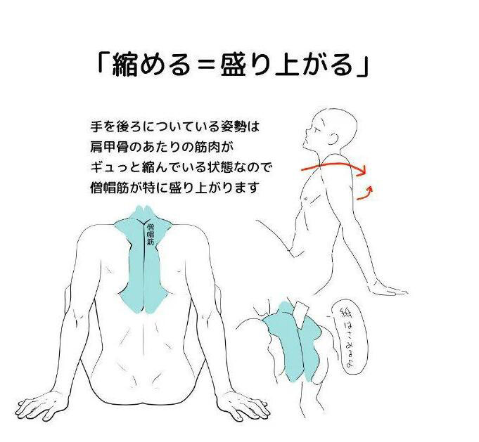 動(dòng)漫人物的背怎么畫3.jpg