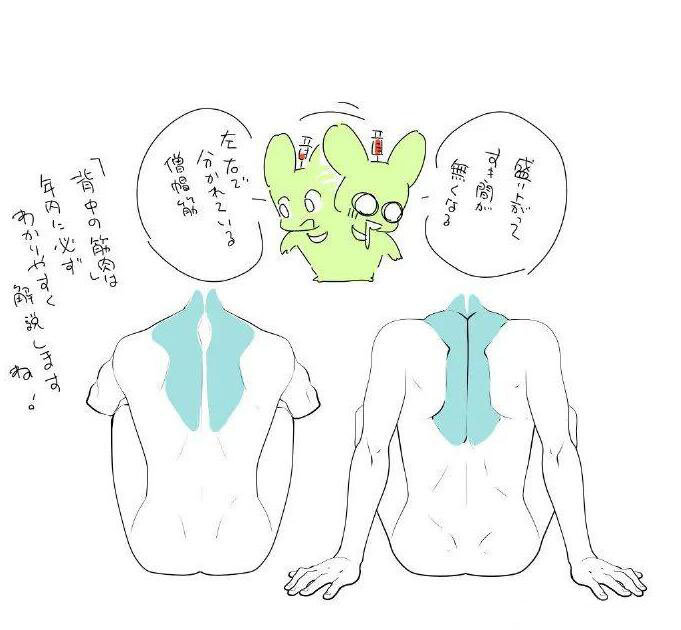 動(dòng)漫人物的背怎么畫2.jpg