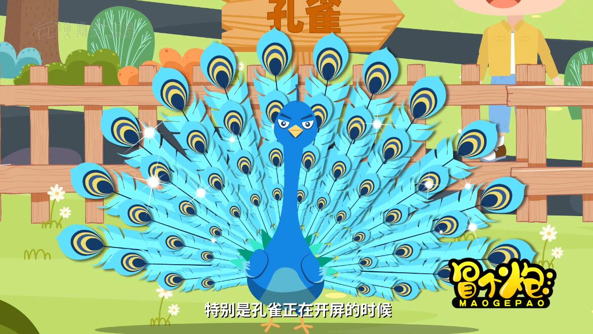 MG動畫制作《孔雀為什么會開屏？》科普動漫宣傳片3.jpg