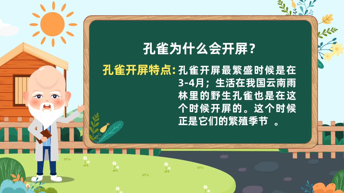 動(dòng)畫宣傳制作公司 動(dòng)畫宣傳制作公司
