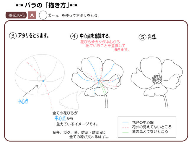 各種花的簡單畫法，一步一步教你畫鮮花