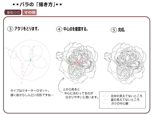 各種花的簡單畫法，一步一步教你畫鮮花