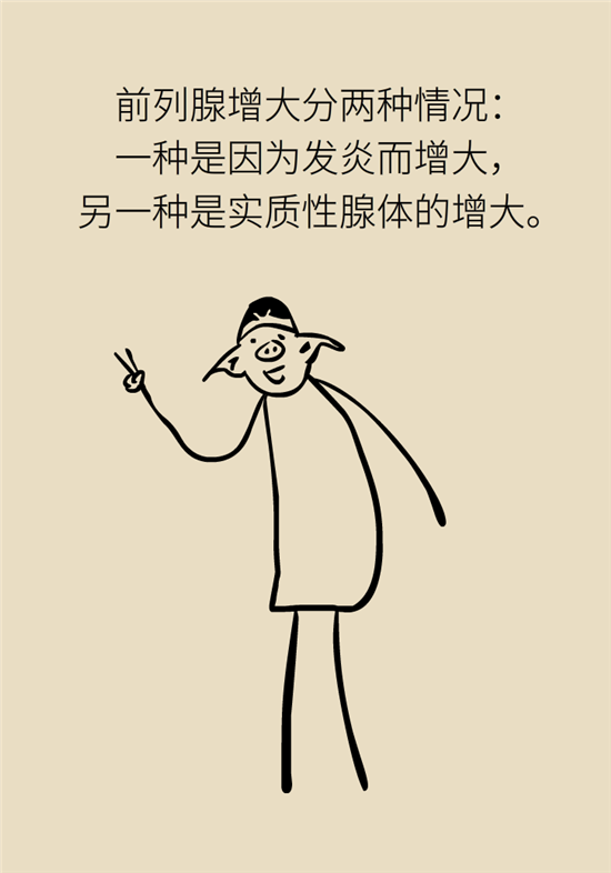 前列腺肥大了還能縮小嗎？