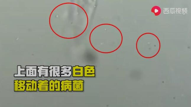 再接著放大到2000倍，可以看到正在口罩上面移動的細菌。.jpg