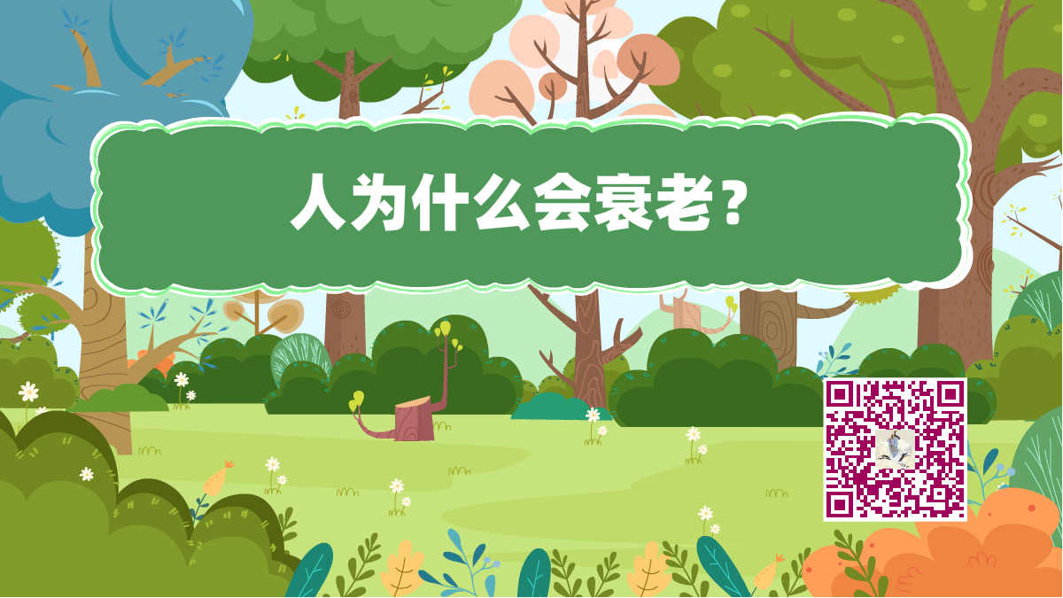 十萬個為什么標(biāo)題(人衰老)1200.png 十萬個為什么標(biāo)題(人衰老)1200.png