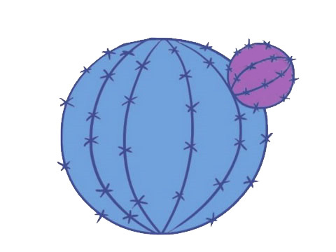 仙人掌簡(jiǎn)筆畫四.jpg 仙人掌簡(jiǎn)筆畫四.jpg