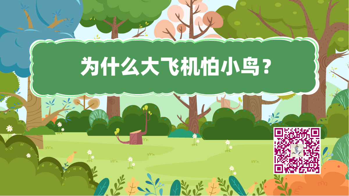 十萬個為什么標(biāo)題（大飛機(jī)怕鳥）1200.png