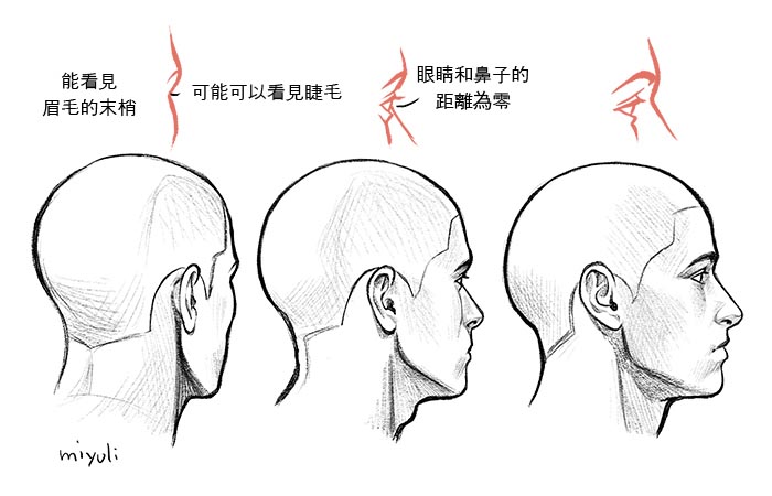 從側(cè)面的狀態(tài)觀看時，人物轉(zhuǎn)向另一側(cè)後，就只能看見眉毛和睫毛.jpg