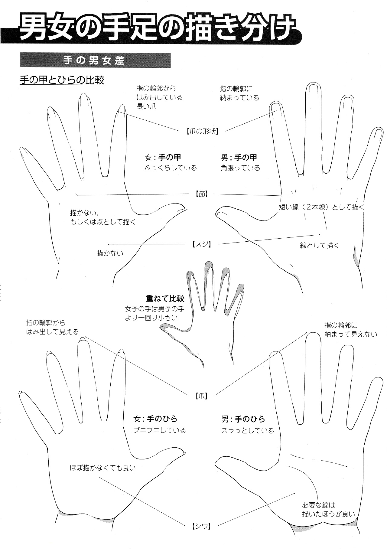 男女比例的差別怎么畫？