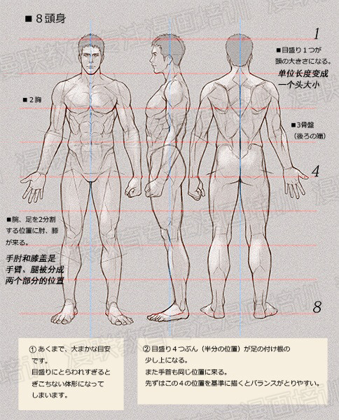 零基礎(chǔ)學(xué)繪畫教程！如何正確掌握繪畫人體結(jié)構(gòu)？