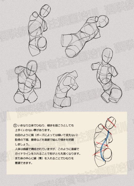 零基礎(chǔ)學(xué)繪畫教程！如何正確掌握繪畫人體結(jié)構(gòu)？