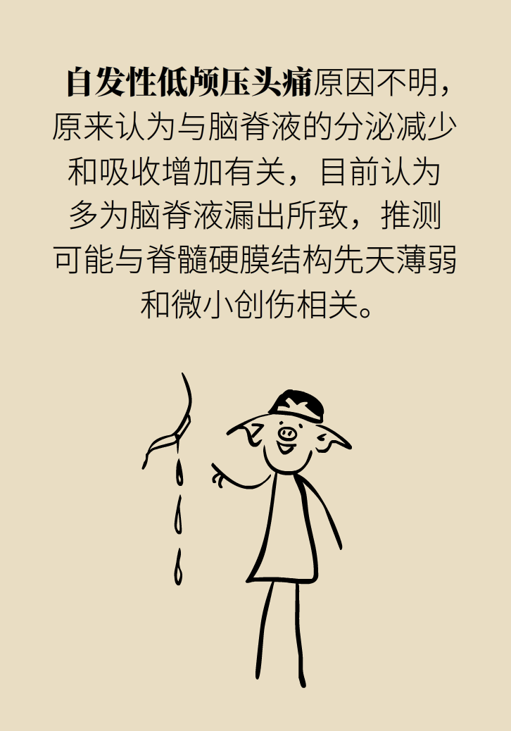 練瑜伽把腦脊液拉漏了！常見的“瑜伽病”你知道多少