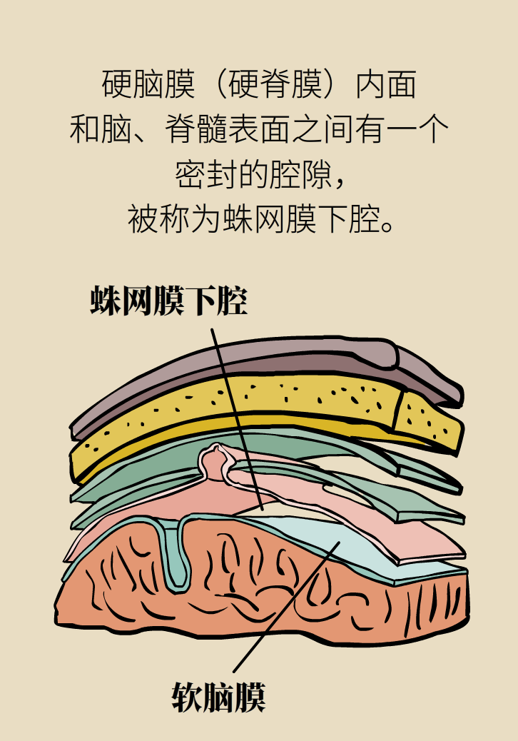 練瑜伽把腦脊液拉漏了！常見的“瑜伽病”你知道多少