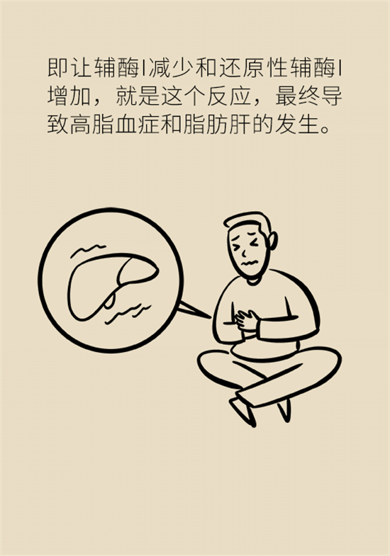喝酒之后會傷肝？這個因素很重要