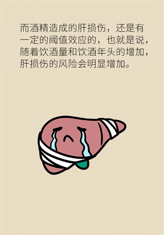 喝酒之后會傷肝？這個因素很重要