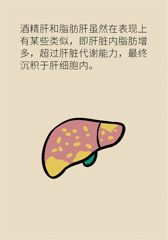 喝酒之后會傷肝？這個因素很重要