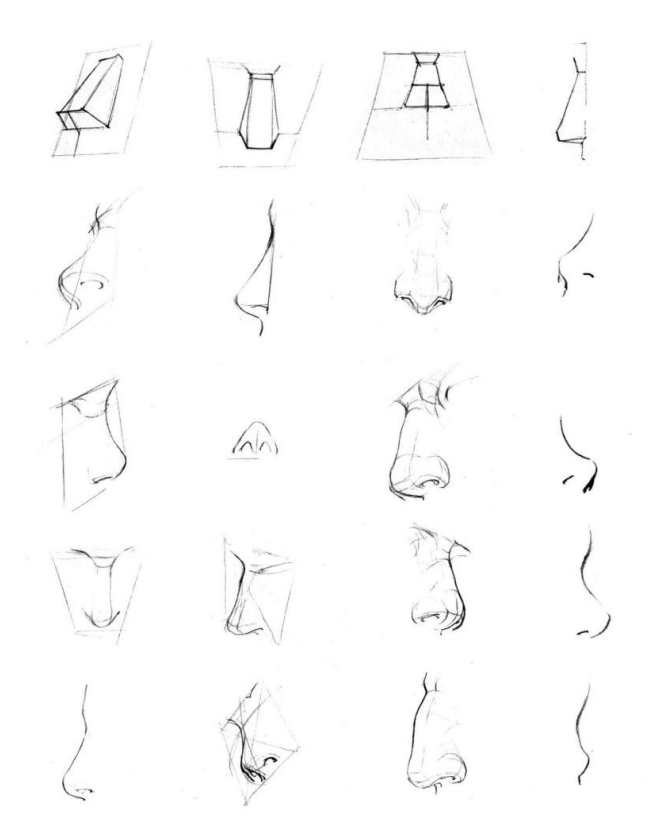 「動漫設(shè)計(jì)」人體繪畫基礎(chǔ) part 02 認(rèn)識肌肉（1）