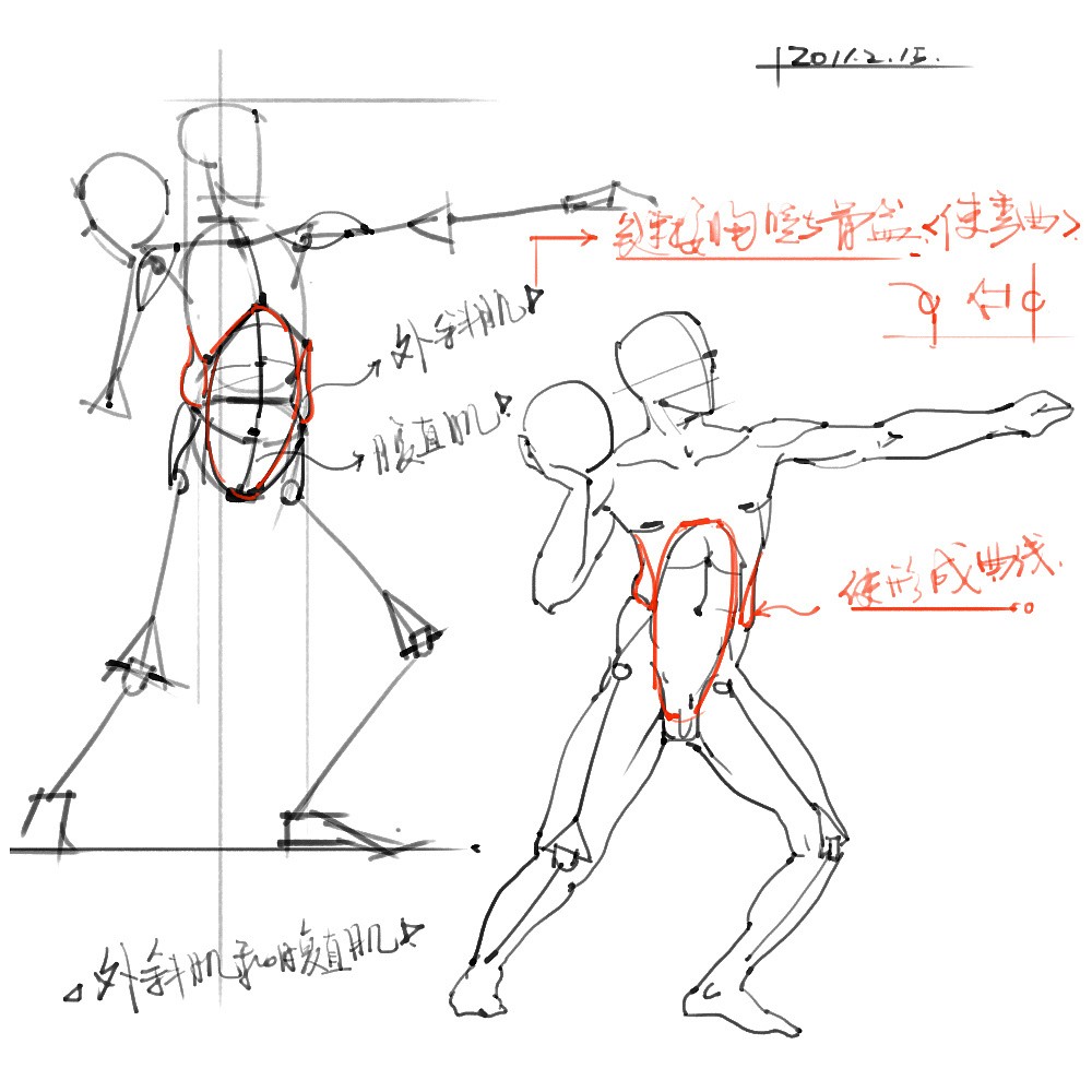 「動漫設(shè)計(jì)」分享一波繪畫專用人體解剖素材 part 02 「動漫設(shè)計(jì)」分享一波繪畫專用人體解剖素材 part 02