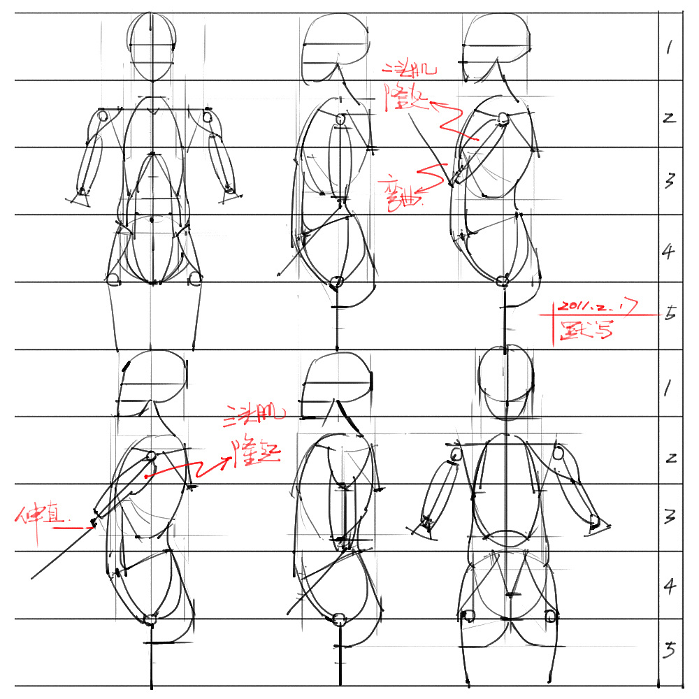 「動(dòng)漫設(shè)計(jì)」分享一波繪畫專用人體解剖素材 part 03 「動(dòng)漫設(shè)計(jì)」分享一波繪畫專用人體解剖素材 part 03