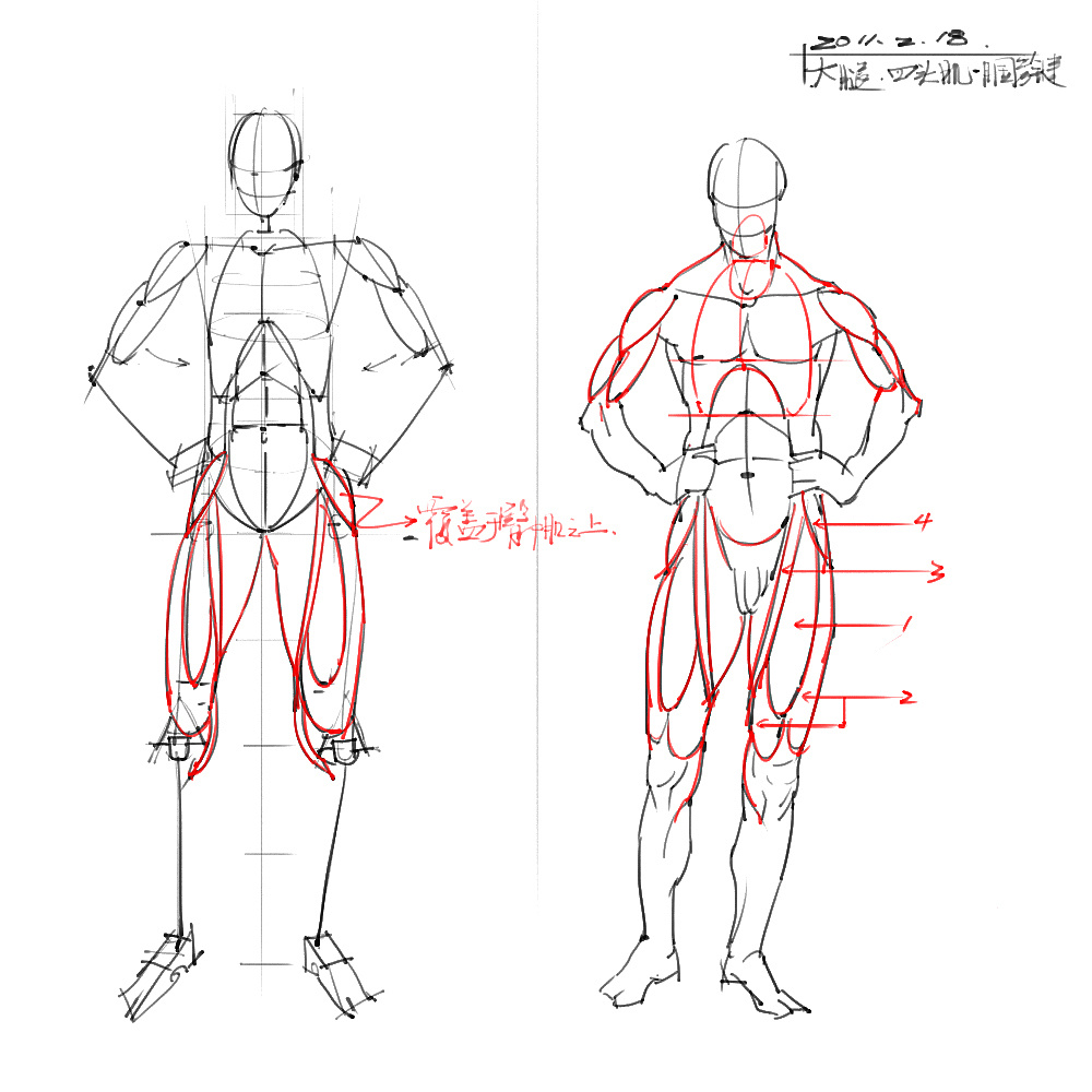 「動(dòng)漫設(shè)計(jì)」分享一波繪畫專用人體解剖素材 part 04 「動(dòng)漫設(shè)計(jì)」分享一波繪畫專用人體解剖素材 part 04