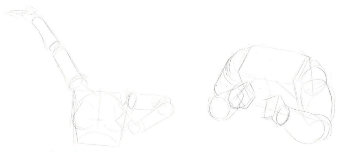 手臂肌肉04.gif 手臂肌肉04.gif